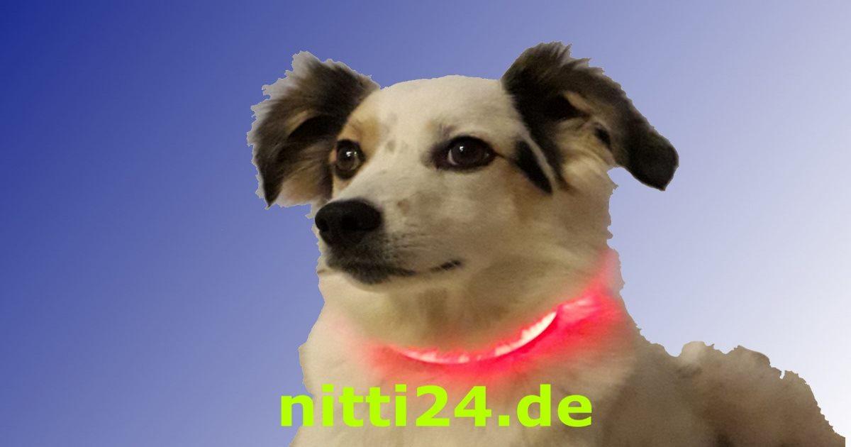 www.nitti24.de